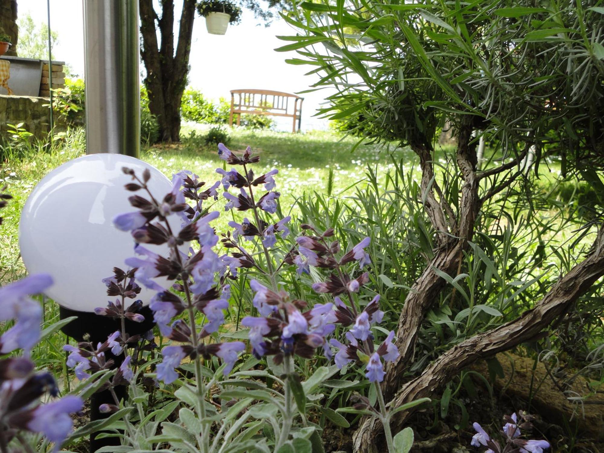 Apartments Ritosa Izola Exterior foto